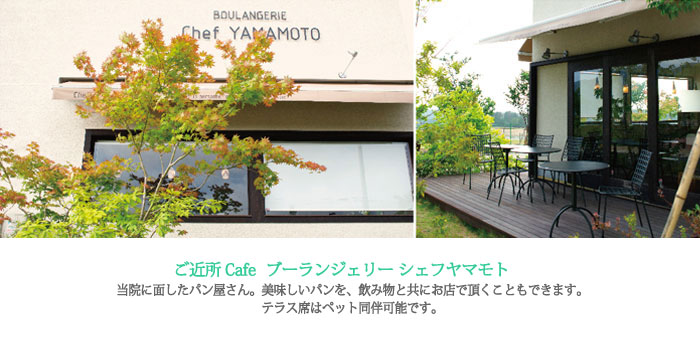 ご近所Cafe：ブーランジェリー シェフヤマモト　当院に面したパン屋さん。美味しいパンを、飲み物と共にお店で頂くこともできます。テラス席はペット同伴可能です。